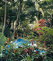 Jungle swimming pool at Tango Mar, Costa Rica